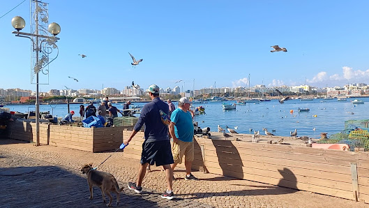 Restaurante Borda do Cais in Ferragudo, Algarve — photo 4 of 12