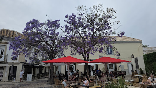 Irish Salt Bar in Faro, Algarve — photo 3 of 10