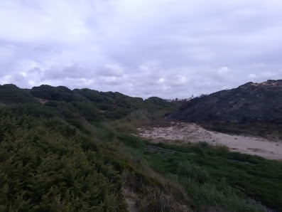 Praia da Foz dos Ouriços in Algarve, Centro — photo 6 of 9