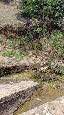 Praia Fluvial de Alte in Alte, Algarve — photo 3 of 6