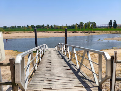 Praia Fluvial do Sorraia in Coruche, Centro — photo 3 of 5