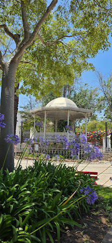 Fuzion in Tavira, Algarve — photo 3 of 12