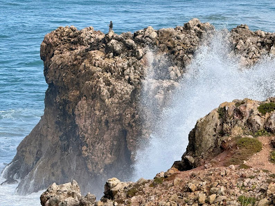Praia do Amado in Salema, Algarve — photo 6 of 7