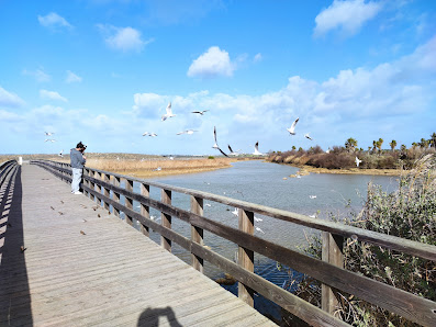 Praia dos Salgados in Guia, Algarve — photo 5 of 6