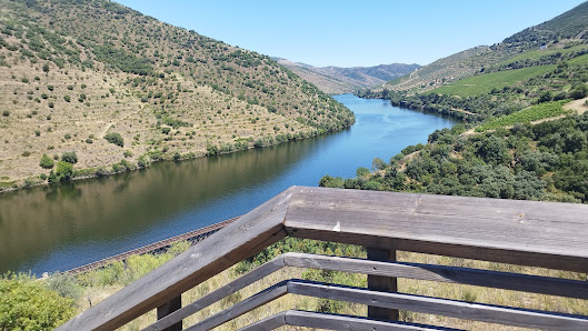 Parque Arqueológico do Vale do Côa in Vila, Norte — photo 3 of 7