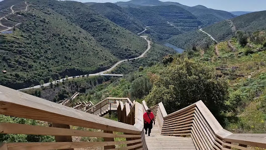 Parque Arqueológico do Vale do Côa in Vila, Norte — photo 5 of 7