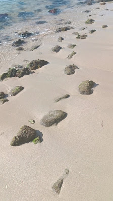 Praia da Figueirinha in Algarve, Centro — photo 4 of 7