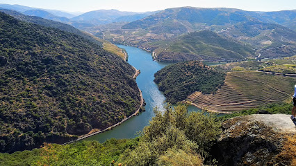 Miradouro de São Salvador do Mundo — Attraction in Algarve, Norte, Portugal — photos, reviews and opening hours