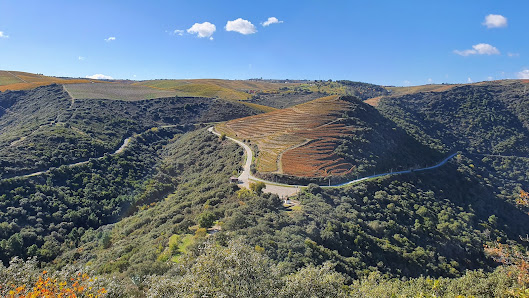 Miradouro de São Salvador do Mundo in Algarve, Norte — photo 5 of 6