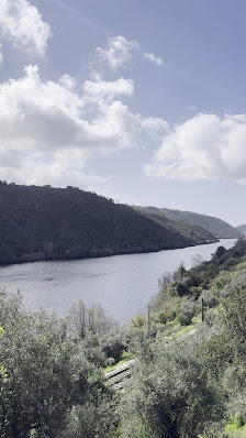 Caminho da Fonte Velha in Algarve, Centro — photo 3 of 3