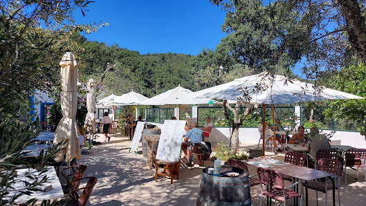 Restaurante Jardim das Oliveiras in Monchique, Algarve — photo 7 of 12