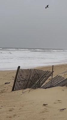 Praia das Pedras do Corgo in Lavra, Norte — photo 4 of 5