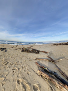 Praia das Pedras do Corgo in Lavra, Norte — photo 5 of 5