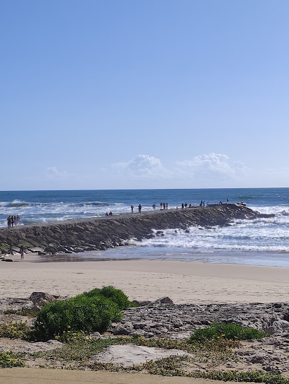 Paredão da Costa de Caparica — Attraction in Algarve, Centro, Portugal — photos, reviews and opening hours