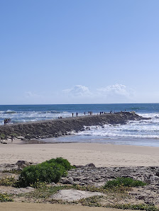 Paredão da Costa de Caparica in Algarve, Centro — photo 2 of 5