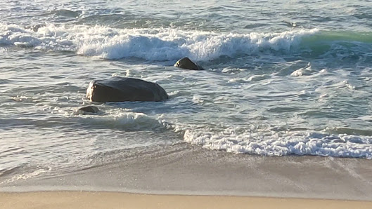 Praia de Santo André in Algarve, Norte — photo 5 of 6