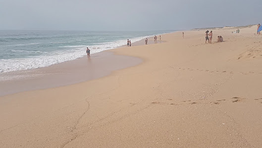 Monte Velho Beach in Algarve, Centro — photo 4 of 8