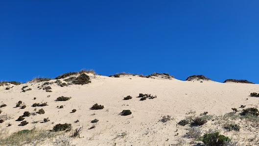 Monte Velho Beach in Algarve, Centro — photo 5 of 8