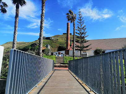 Alagoa beach — Beach Bar in Lagoa, Centro, Portugal — photos, reviews and opening hours
