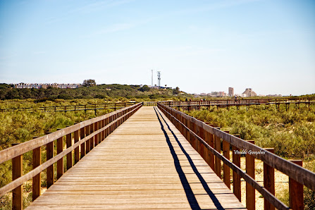 Passadiços de Altura (início) in Altura, Algarve — photo 2 of 4