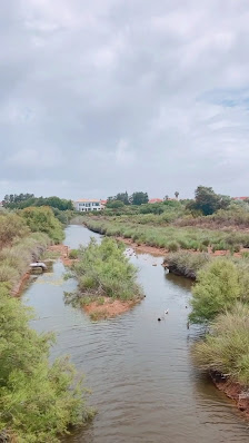 Passadiços de Altura (início) in Altura, Algarve — photo 4 of 4