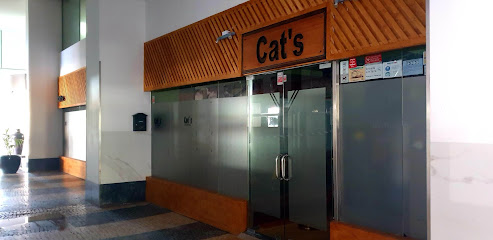 Cats Bar Vilamoura