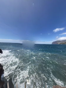 Túnel das Poças do Gomes in Funchal, Centro — photo 5 of 5