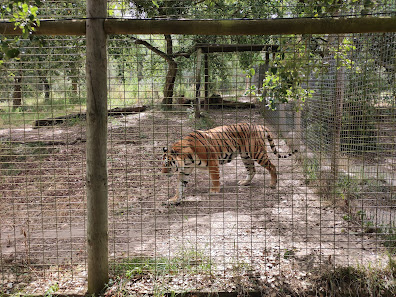 Europaradise | Parque Zoológico in Montemor, Norte — photo 2 of 6
