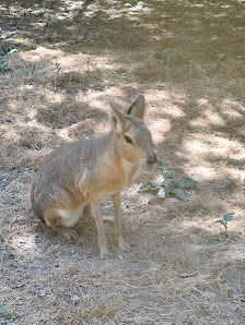 Europaradise | Parque Zoológico in Montemor, Norte — photo 3 of 6