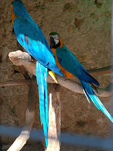 Europaradise | Parque Zoológico in Montemor, Norte — photo 5 of 6