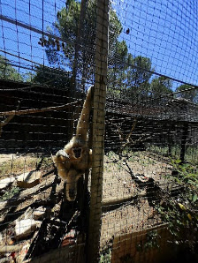 Europaradise | Parque Zoológico in Montemor, Norte — photo 6 of 6