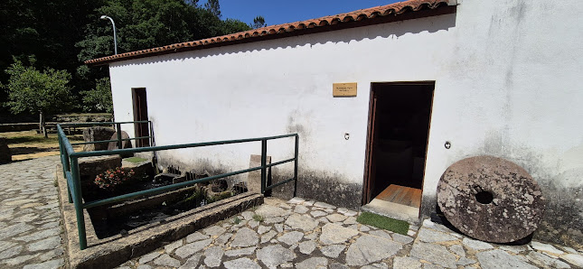 Parque Temático Molinológico in Oliveira de, Norte — photo 3 of 6