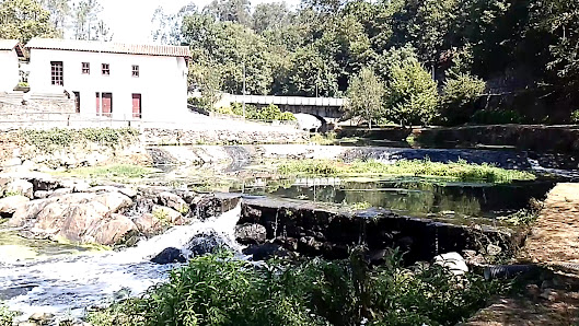 Parque Temático Molinológico in Oliveira de, Norte — photo 4 of 6