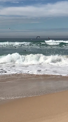 Praia da Baía de Porto Covo in Setúbal, Centro — photo 8 of 10