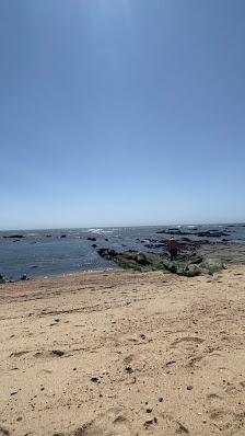 Praia do Teimoso in Algarve, Norte — photo 4 of 6