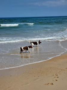 Praia de Vale Furado in Algarve, Centro — photo 5 of 6