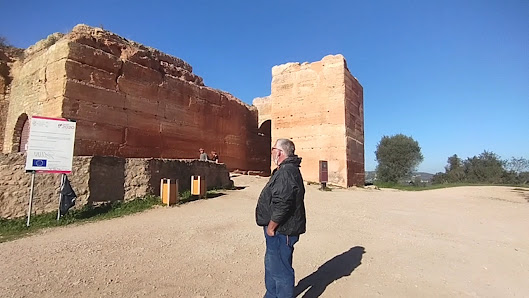 Castle of Paderne in Paderne, Algarve — photo 4 of 6