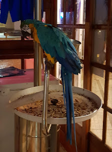 BAR BACCHUS PUB in Portimão, Algarve — photo 5 of 8