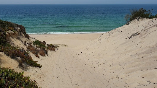 Praia do Pinheirinho in Algarve, Centro — photo 4 of 5