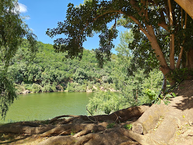 Jardim Horto de Camões in Constância, Centro — photo 3 of 5