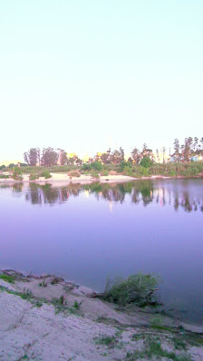 Jardim Horto de Camões in Constância, Centro — photo 4 of 5