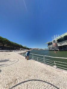 Oceanário de Lisboa in Lisboa, Centro — photo 6 of 6