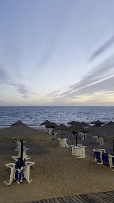 Girassol in Quarteira, Algarve — photo 4 of 12