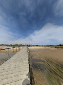 Duna de Salir do Porto in Salir do, Centro — photo 5 of 5