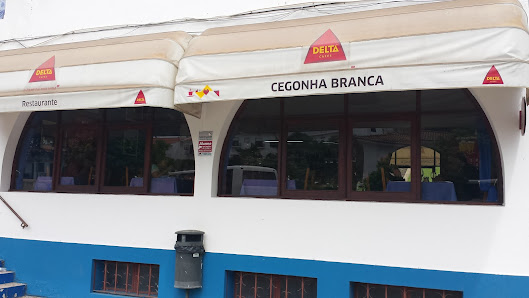 Cegonha Branca in Mértola, Algarve — photo 2 of 7