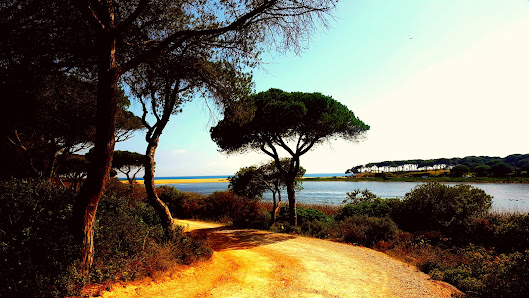 Praia do Almargem in Quarteira, Algarve — photo 5 of 7