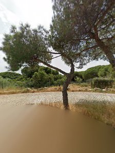 Verdelago Beach Club in Altura, Algarve — photo 9 of 9