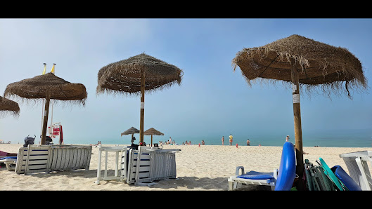 Atlantic Beach in Grândola, Centro — photo 8 of 10