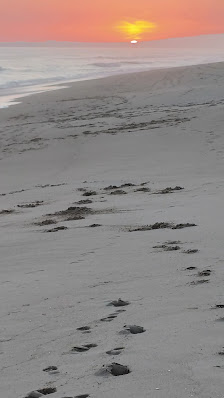 Quinta do Lago Beach in Quinta do Lago, Algarve — photo 3 of 6