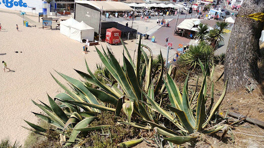 Largo da Praia de Carvoeiro in Carvoeiro, Algarve — photo 4 of 6